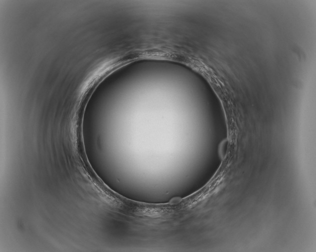 X0000112370341200908271323