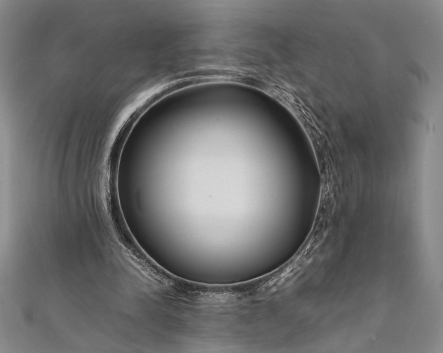 X0000112370342200908271323