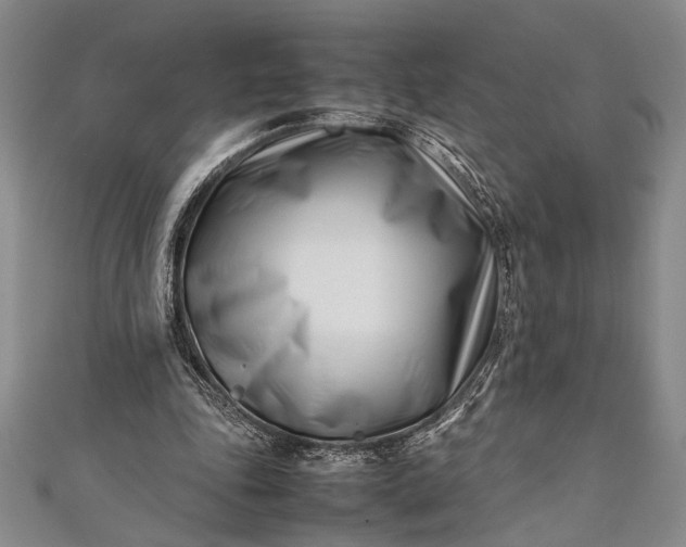 X0000112370343200908271323