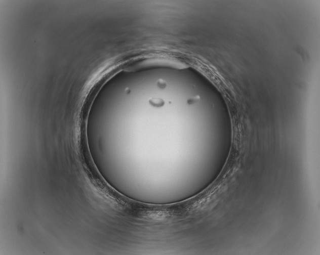 X0000112370344200908271323