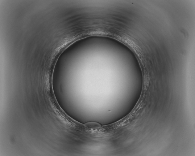 X0000112370345200908271323