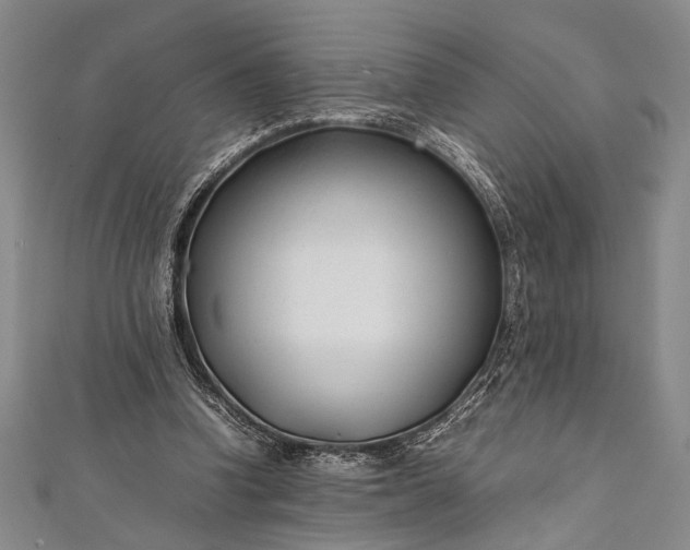 X0000112370346200908271323