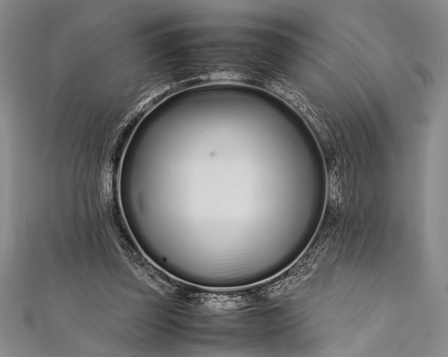 X0000112370347200908271323