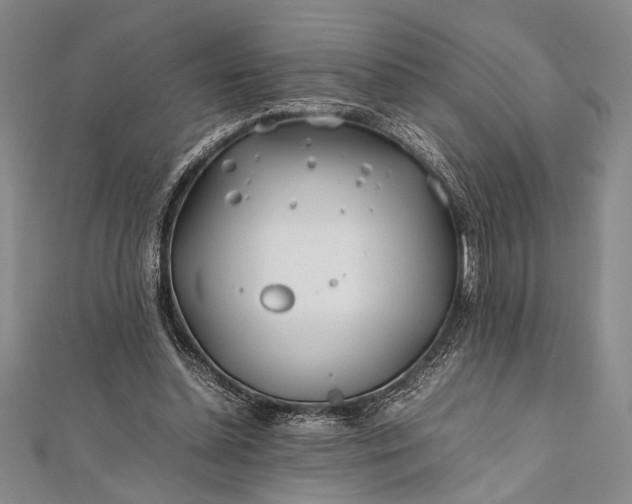 X0000112370348200908271323