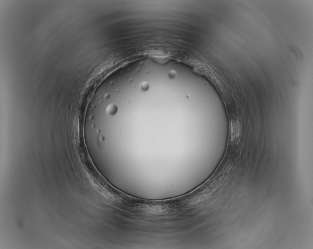 X0000112370349200908271323