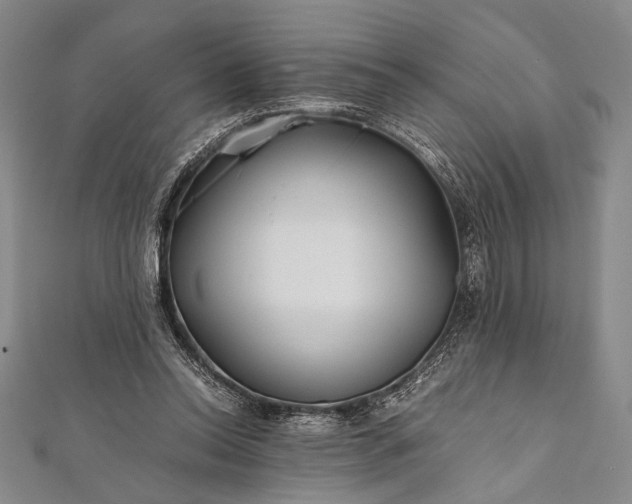 X0000112370350200908271323