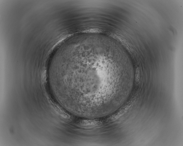 X0000112370351200908271323