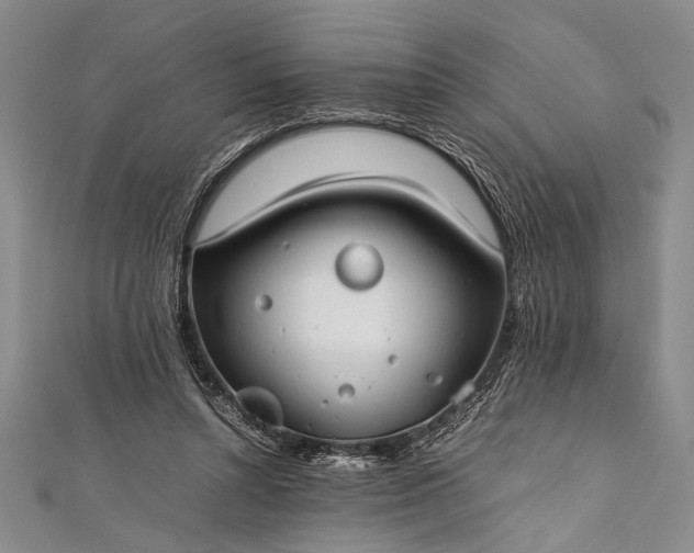 X0000112370352200908271323