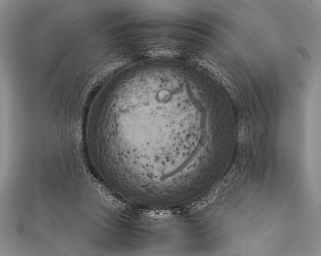 X0000112370353200908271323