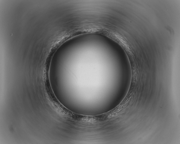 X0000112370354200908271323