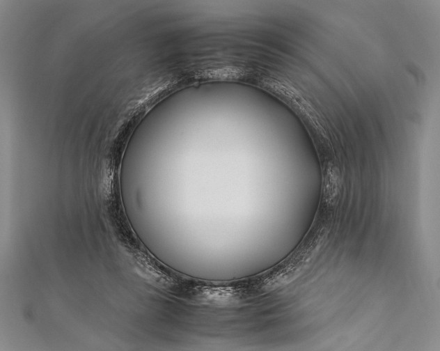 X0000112370355200908271323