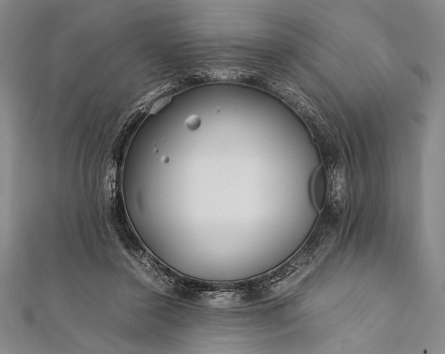 X0000112370356200908271323