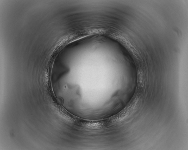 X0000112370357200908271323