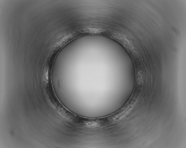 X0000112370358200908271323