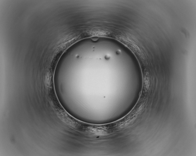 X0000112370359200908271323