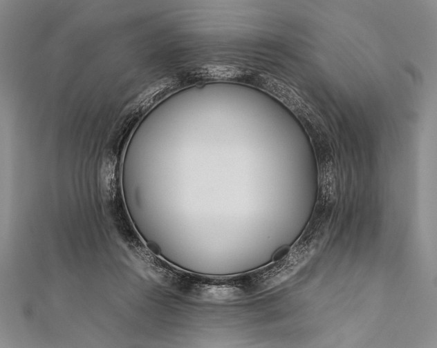 X0000112370360200908271323