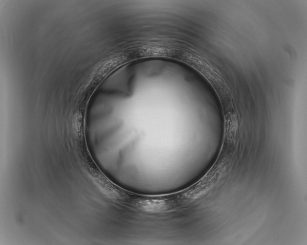 X0000112370361200908271323