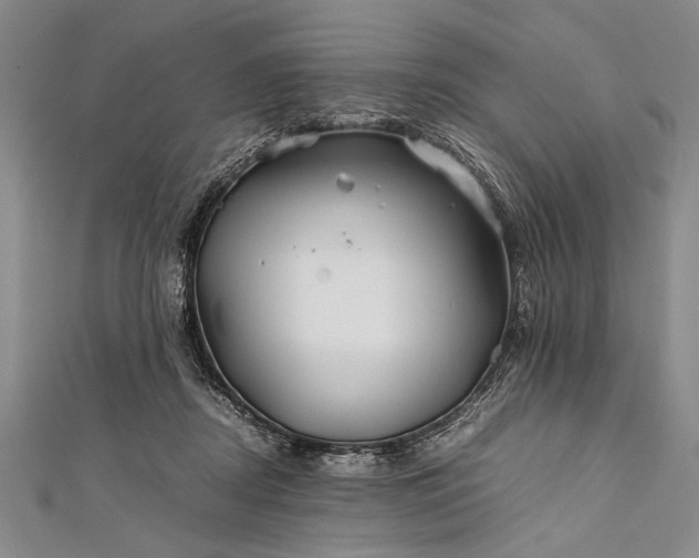 X0000112370362200908271323