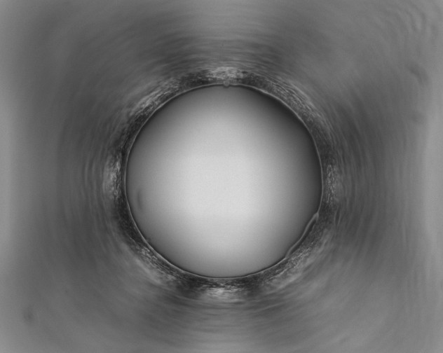 X0000112370364200908271323