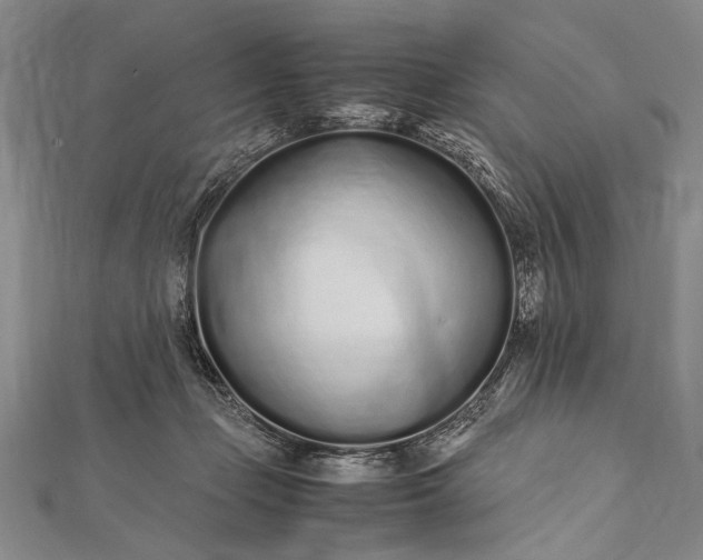 X0000112370365200908271323