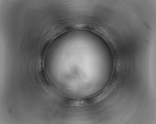 X0000112370366200908271323