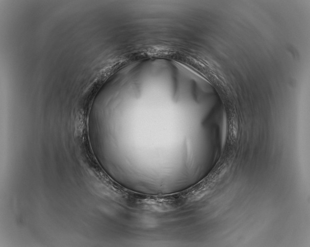 X0000112370367200908271323