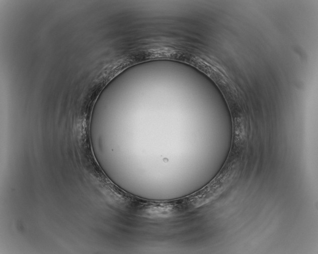 X0000112370369200908271323