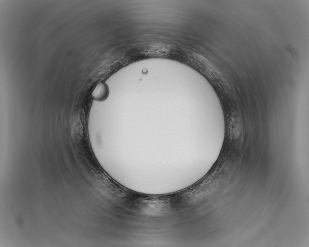 X0000112370370200908271323