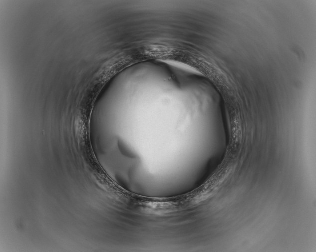 X0000112370371200908271323