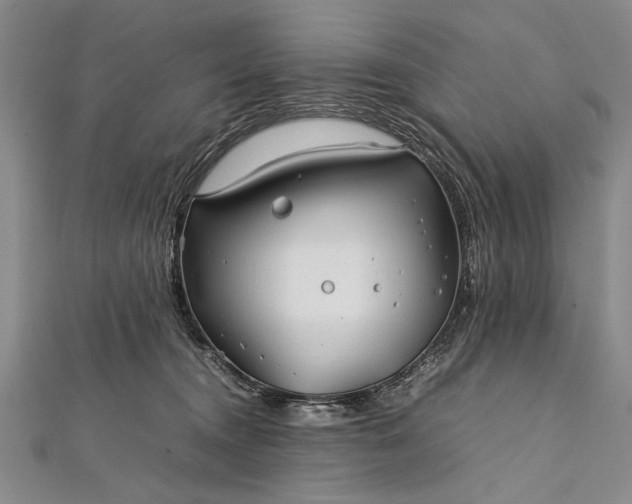 X0000112370372200908271323