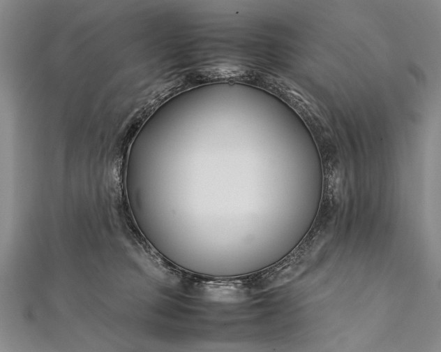 X0000112370373200908271323