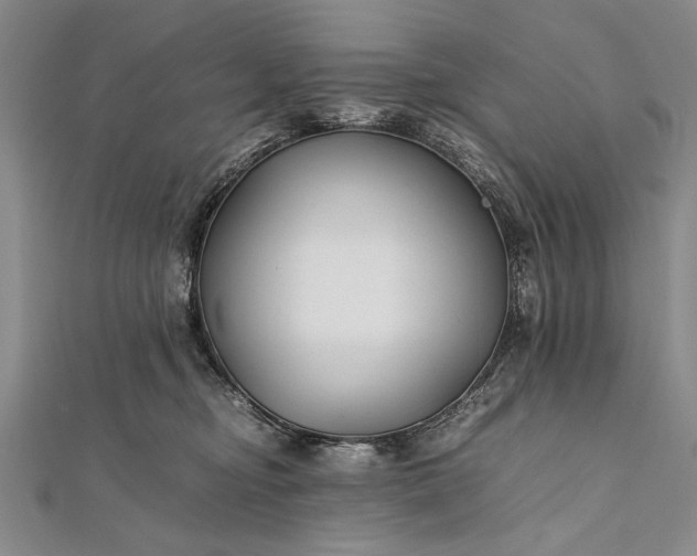 X0000112370374200908271323