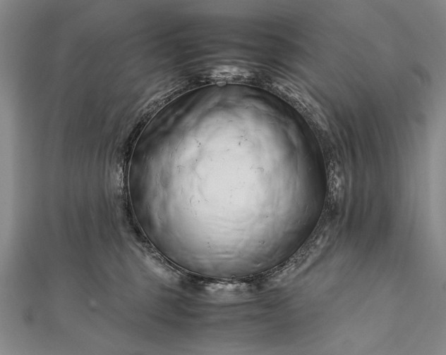 X0000112370375200908271323