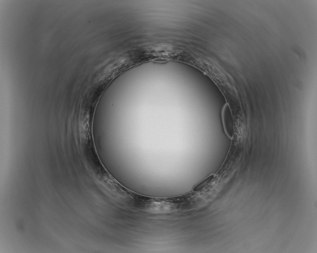 X0000112370376200908271323