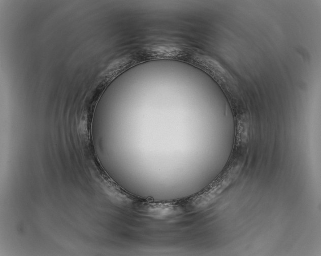 X0000112370377200908271323