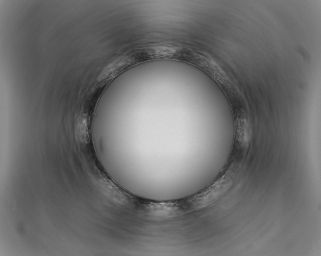 X0000112370378200908271323