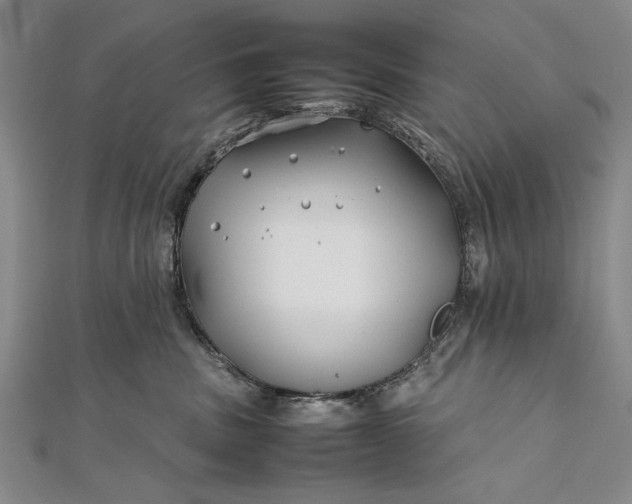 X0000112370379200908271323