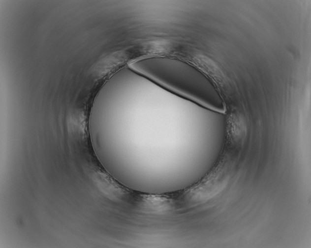 X0000112370380200908271323