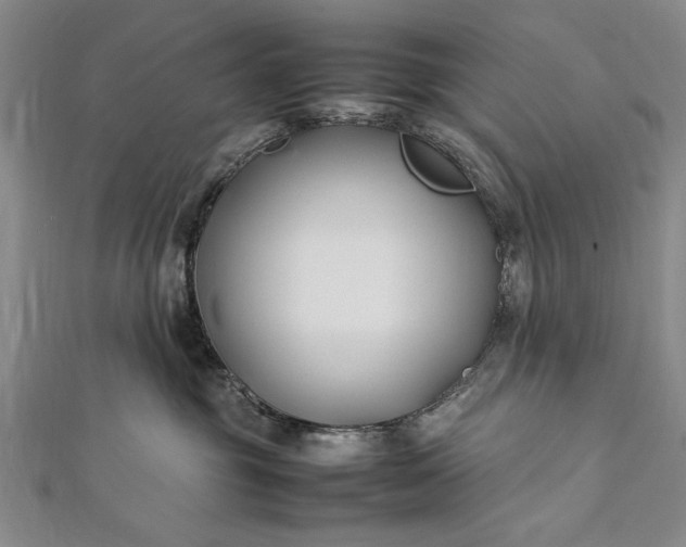 X0000112370381200908271323