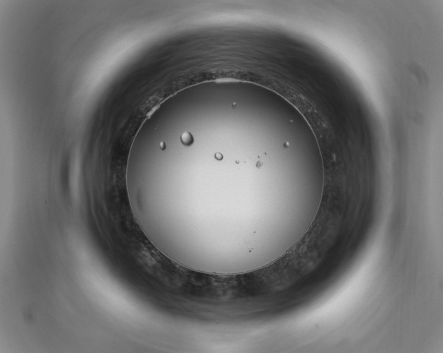 X0000112370382200908271323