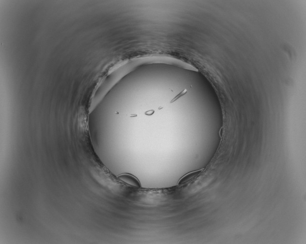 X0000112370384200908271323