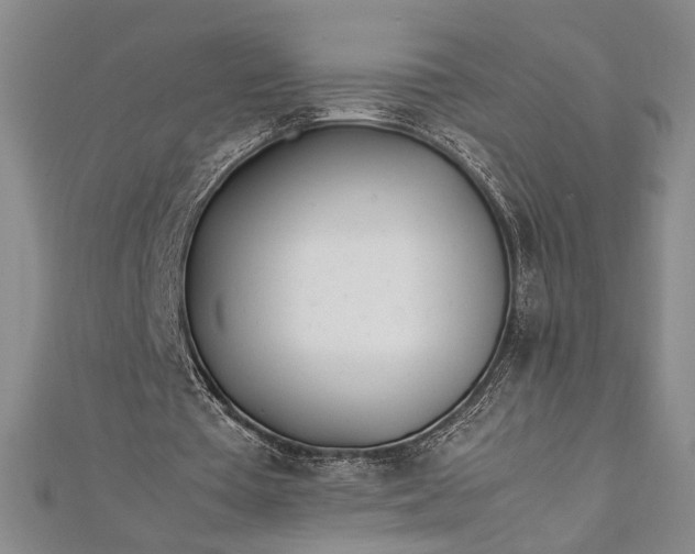 X0000112370385200908271323