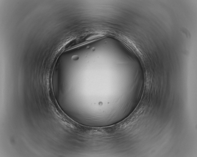 X0000112370386200908271323