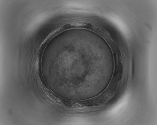 X0000112370387200908271323