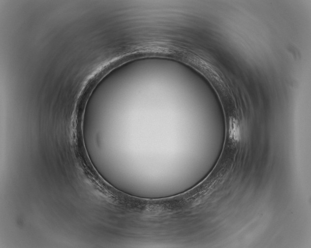 X0000112370388200908271323