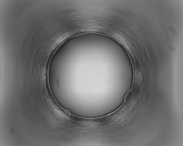 X0000112370389200908271323