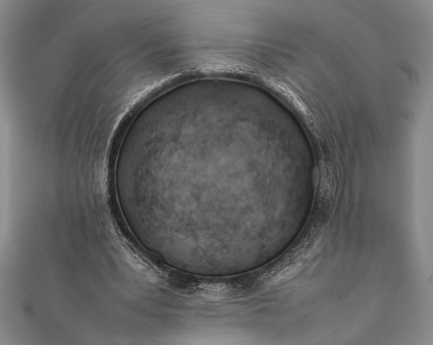 X0000112370391200908271323