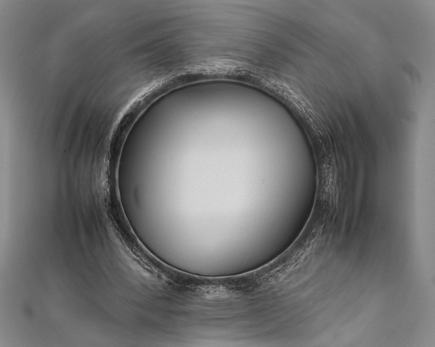 X0000112370392200908271323