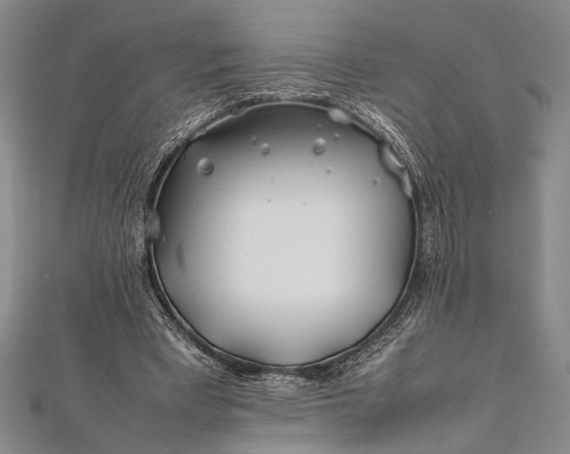 X0000112370393200908271323