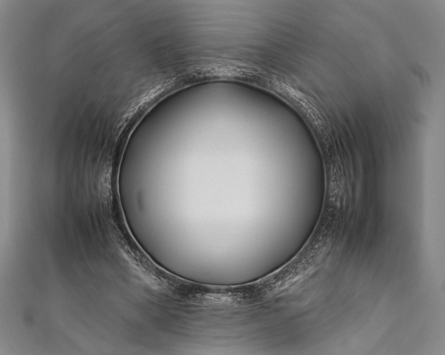 X0000112370394200908271323